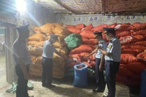 Phát hiện gần 8 tấn chân gà không xuất xứ đang chờ tiêu thụ