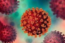 Trong tuần qua, Hà Nội ghi nhận 150 ca Covid-19 mới 