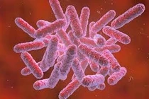 Một người ở Đắk Lắk tử vong do nhiễm "vi khuẩn ăn thịt người" 