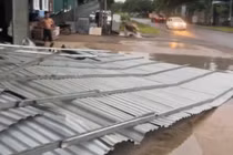 Người đàn ông tử vong do cây gãy rơi trúng người