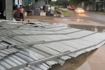 Người đàn ông tử vong do cây gãy rơi trúng người