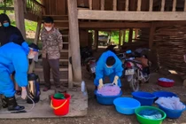 Nghệ An ghi nhận 2 ca bệnh viêm não Nhật Bản mới 