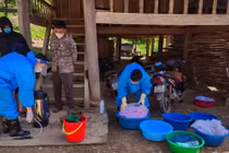 Nghệ An ghi nhận 2 ca bệnh viêm não Nhật Bản mới 