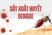 Ngành y tế Hà Nội đẩy mạnh phòng chống dịch bệnh mùa đông xuân