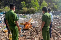 Tiêu hủy 134 kg thực phẩm đông lạnh không có xuất xứ