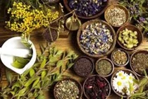 Bộ Y tế chấn chỉnh việc quản lý lĩnh vực y, dược cổ truyền