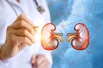 Cách kiểm soát dinh dưỡng cho người bệnh thận trong mùa Tết