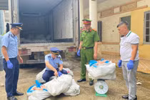 Phát hiện 1 tấn móng giò lợn chảy nước ở Lạng Sơn