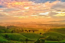 Say nắng có thể gây trụy tim mạch, đột quỵ