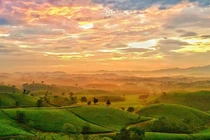 Say nắng có thể gây trụy tim mạch, đột quỵ