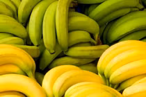 Cách ăn chuối giảm cân hiệu quả, dễ áp dụng