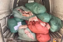 Hà Nội phát hiện gần tấn chân gà bốc mùi, xử phạt ngay ngày đầu năm