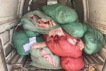 Hà Nội phát hiện gần tấn chân gà bốc mùi, xử phạt ngay ngày đầu năm