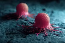 Vắc xin nano mới tiêu diệt tận gốc tế bào ung thư