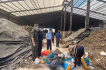 Quảng Ninh xử phạt chủ hàng vận chuyển 300 kg chân giò không rõ xuất xứ