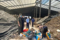 Quảng Ninh xử phạt chủ hàng vận chuyển 300 kg chân giò không rõ xuất xứ