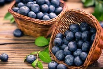 Ăn việt quất có lợi cho trí nhớ 