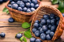 Ăn việt quất có lợi cho trí nhớ 