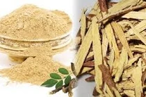 Thu hồi toàn bộ lô dược liệu cam thảo vi phạm chất lượng