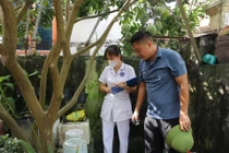 Hà Nội ghi nhận hơn 350 ca sốt xuất huyết trong tuần, xu hướng tăng