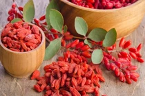 Kỳ tử có nhiều công dụng với sức khoẻ