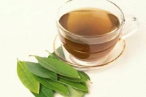 Vì sao không nên uống quá nhiều nước vối?