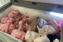 Gia Lai phát hiện hơn 4 tấn thịt, mỡ heo đã có mùi hôi thối