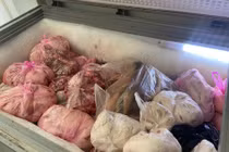 Gia Lai phát hiện hơn 4 tấn thịt, mỡ heo đã có mùi hôi thối