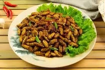 Sau bữa cơm với nhộng, cô gái 18 tuổi sốc phản vệ phải nhập viện cấp cứu