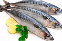 Khám phá lợi ích của cá thu đối với sức khỏe 