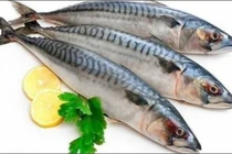 Khám phá lợi ích của cá thu đối với sức khỏe 