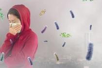 Hà Nội khuyến cáo người dân nâng cao ý thức bảo vệ môi trường sống