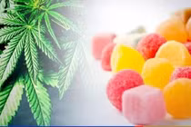 Hai chị em ở TP HCM nhập viện cấp cứu do ăn phải kẹo tẩm cần sa