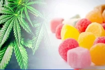 Hai chị em ở TP HCM nhập viện cấp cứu do ăn phải kẹo tẩm cần sa