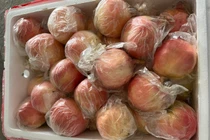 Gia Lai tạm giữ hàng tấn quả tươi không rõ nguồn gốc