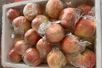 Gia Lai tạm giữ hàng tấn quả tươi không rõ nguồn gốc