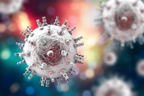 Bệnh nhi 8 tuổi bị viêm não do virus Herpes simplex 