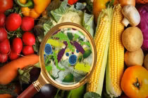 Nhiều người nhập viện nghi ngộ độc ở Vĩnh Long, Đồng Tháp