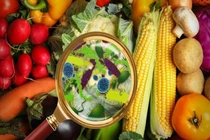 Nhiều người nhập viện nghi ngộ độc ở Vĩnh Long, Đồng Tháp