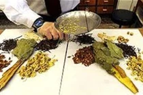 Hộ kinh doanh Lương y Võ Thị Sáu Chăm sóc Sức khoẻ bị phạt