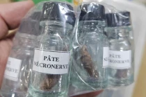 Nguy cơ từ sản phẩm nha khoa chứa thạch tín bị phát hiện tại TP HCM