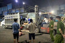 Kinh hoàng 1 tấn thịt lợn chết đang vận chuyển đi tiêu thụ 