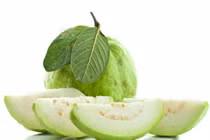 Bất ngờ về hàm lượng vitamin C trong quả ổi