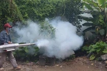 Hà Nội ghi nhận thêm 120 ca sốt xuất huyết tại 67 phường, xã trong tuần qua