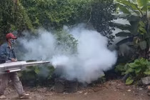 Hà Nội ghi nhận thêm 120 ca sốt xuất huyết tại 67 phường, xã trong tuần qua