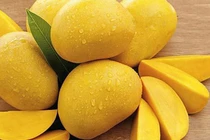 Ăn xoài chín quá nhiều dễ gây tăng cân