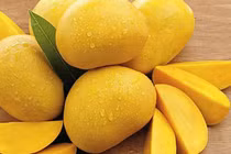 Ăn xoài chín quá nhiều dễ gây tăng cân