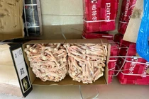 Thái Bình tiêu hủy trên 300 kg thực phẩm đông lạnh "bẩn"