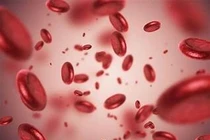 Cách phòng ngừa thiếu máu hiệu quả