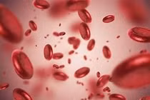 Cách phòng ngừa thiếu máu hiệu quả